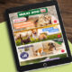 Il volantino digitale di Maxi Zoo – Advertising